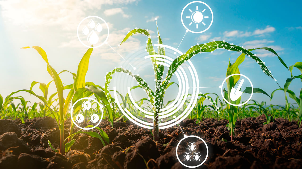 10 vantagens de trazer novas tecnologias para a fazenda