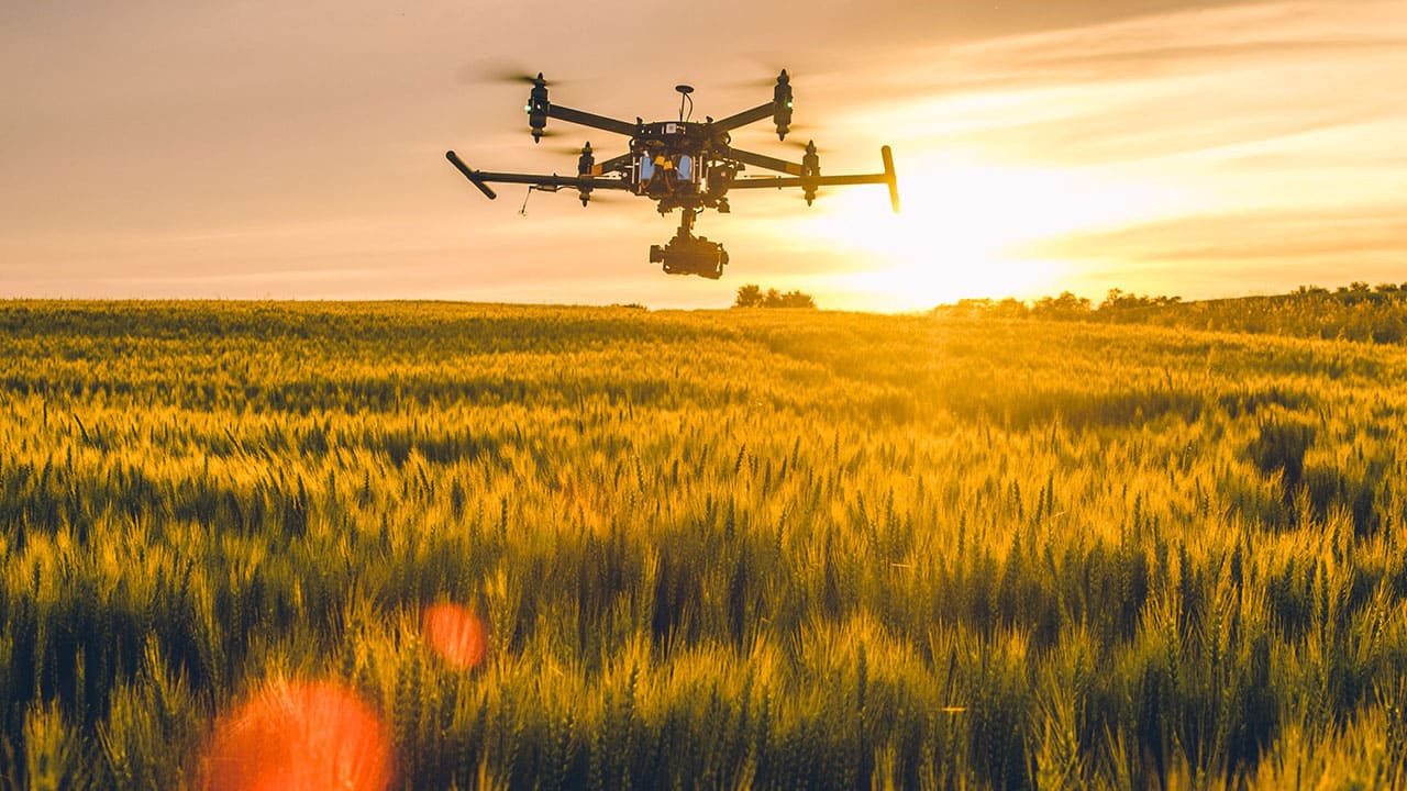 Drone agrícola: veja porque você precisa dele e como escolher um
