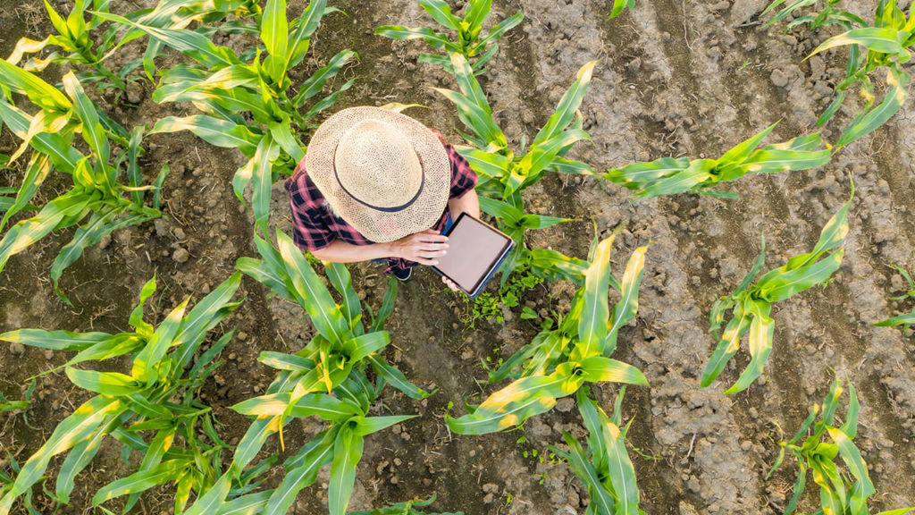 O-trabalho-no-campo-em-tempos-de-agricultura-digital-Agrigent